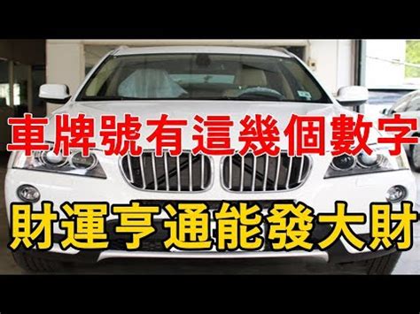 大吉車牌號碼2024|2024車牌吉數大公開